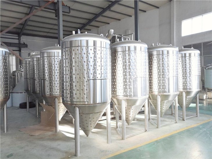 Single Wall Fermenter